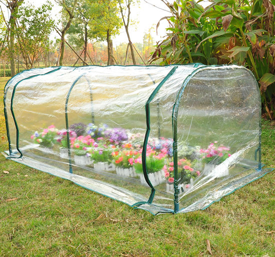 immagine-2-easycomfort-easycomfort-serra-da-giardino-a-tunnel-in-pvc-telaio-in-acciao-trasparente-200x100x80cm-ean-8054111849159