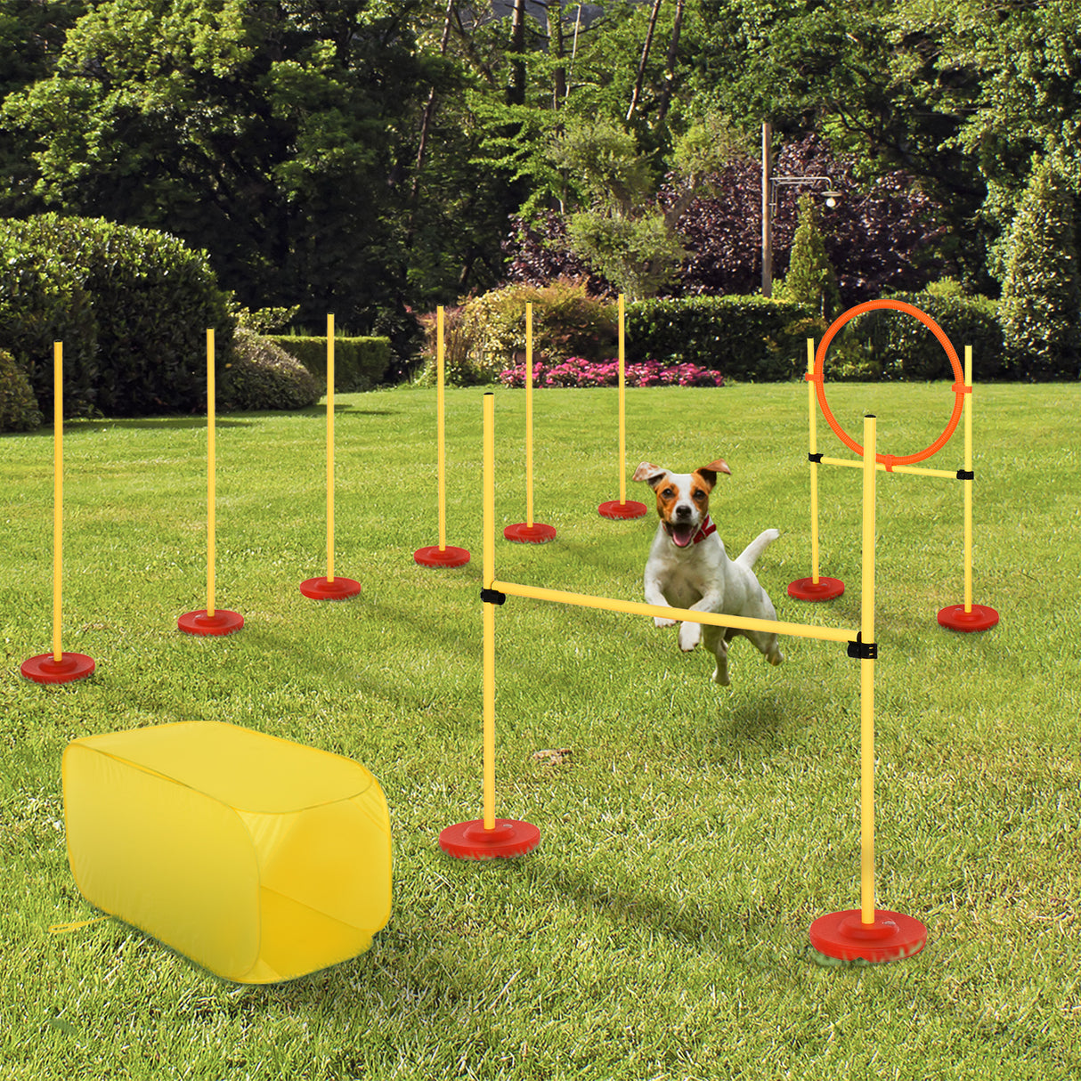 immagine-2-easycomfort-easycomfort-set-agility-dog-per-addestramento-cani-con-ostacoli-regolabili-slalom-e-tunnel