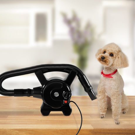 immagine-2-easycomfort-easycomfort-soffiatore-per-cani-con-velocita-e-temperatura-regolabili-tubo-flessibile-e-3-beccucci-2400w-nero