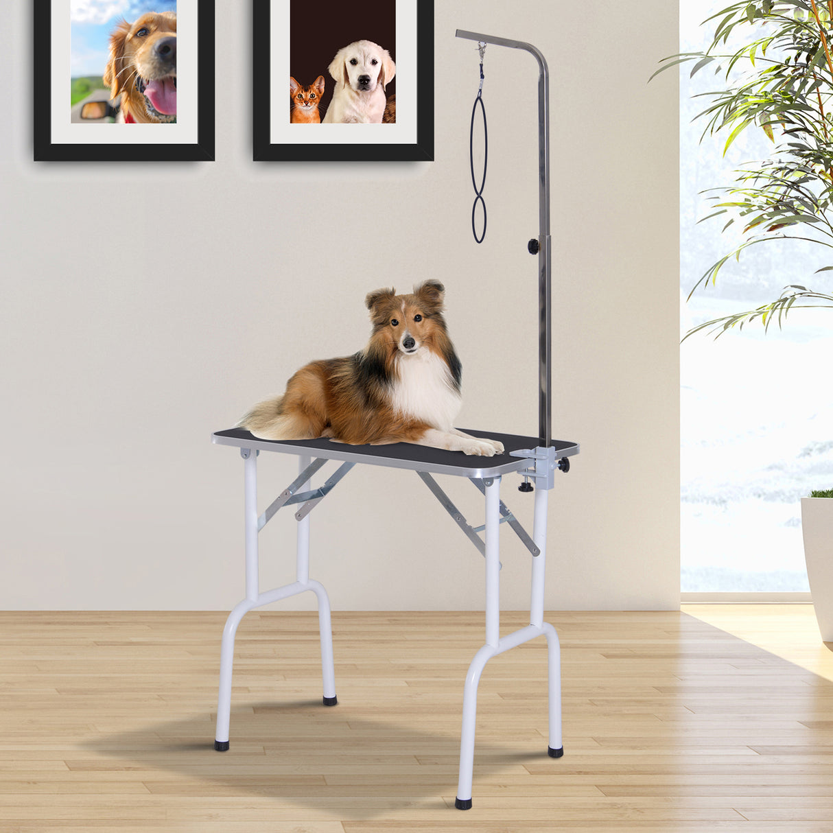 immagine-2-easycomfort-easycomfort-tavolo-da-toelettatura-e-tosatura-per-cani-e-gatti-carico-30kg-81x48-5x80cm-ean-8054144132440