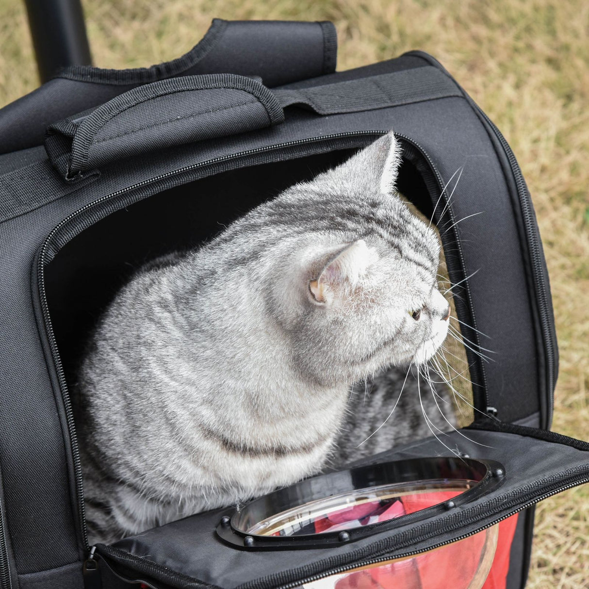 immagine-4-easycomfort-easycomfort-zaino-con-oblo-per-gatti-e-cani-di-piccola-taglia-pieghevole-in-tessuto-oxford-nero-e-rosso-38x24x38cm