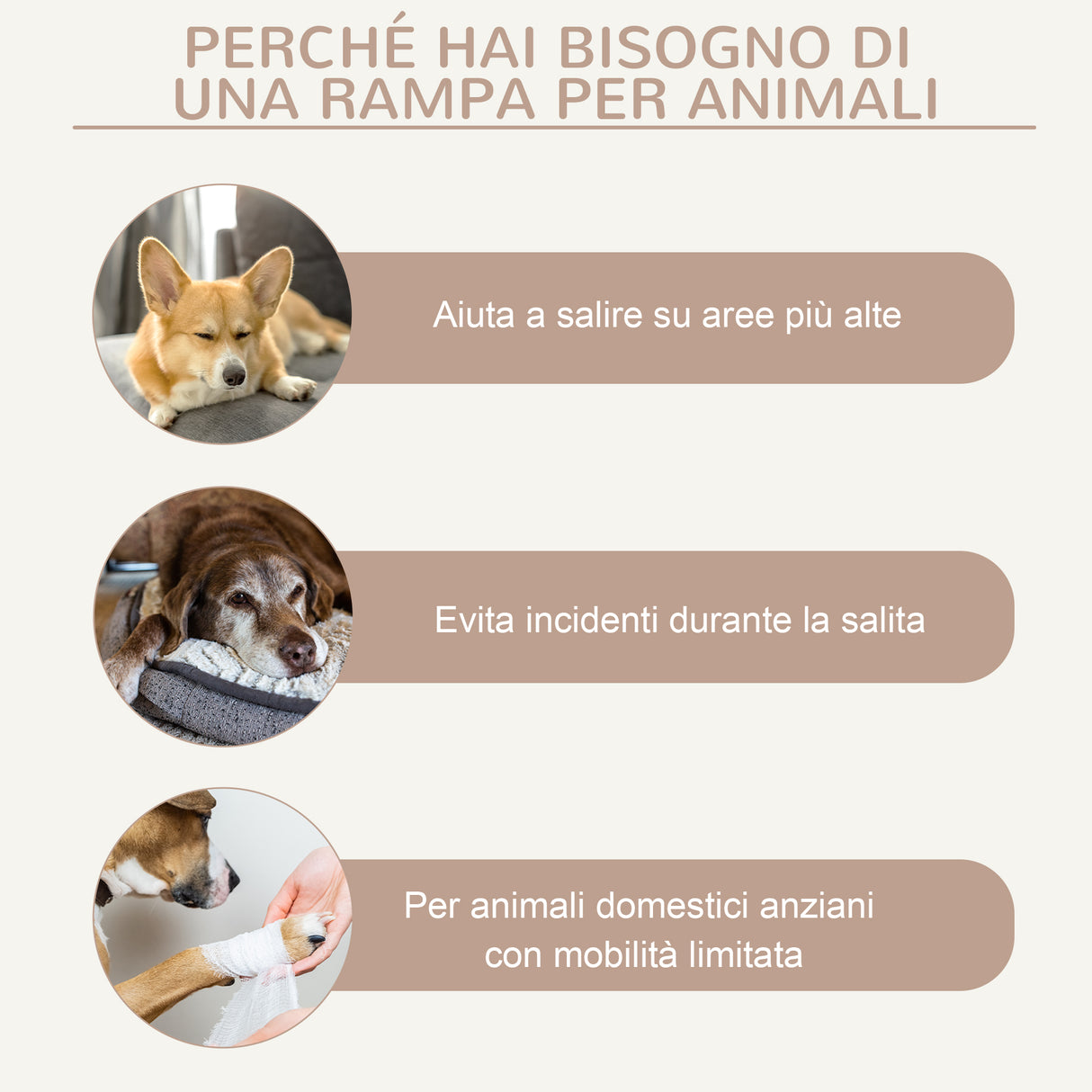 immagine-7-easycomfort-easycomfort-rampa-per-cani-pieghevole-e-antiscivolo-con-altezza-regolabile-su-4-livelli-per-animali-fino-15kg