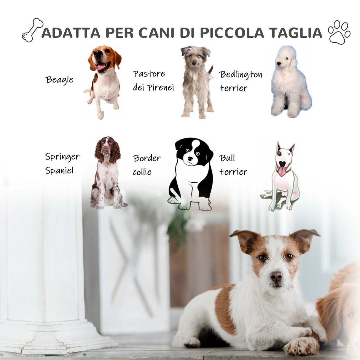 immagine-8-easycomfort-easycomfort-cuccia-in-plastica-per-cani-medi-da-esterno-e-interno-cancello-rimovibile-78x87x81cm-bianco