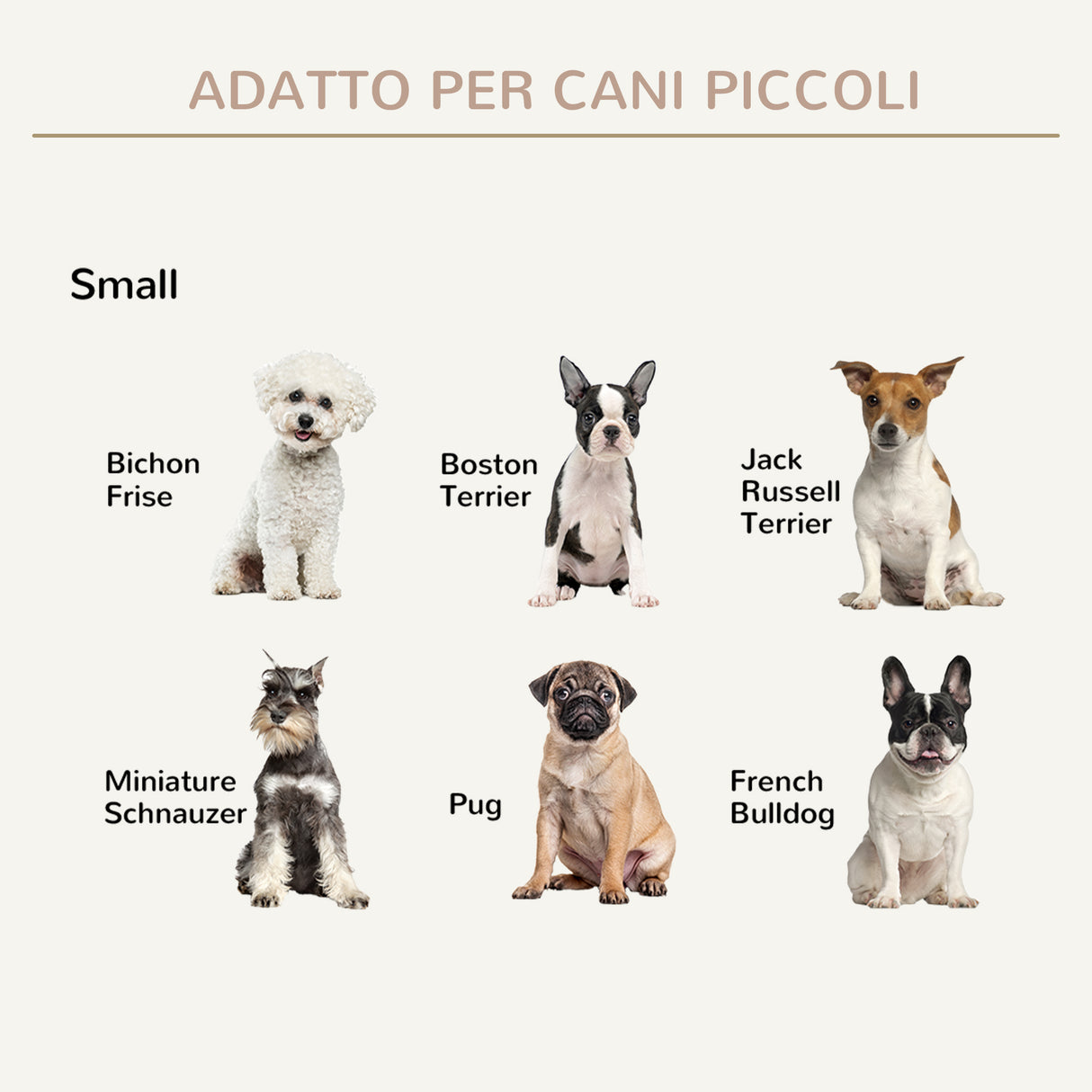 immagine-8-easycomfort-easycomfort-rampa-per-cani-pieghevole-e-antiscivolo-con-altezza-regolabile-su-4-livelli-per-animali-fino-15kg