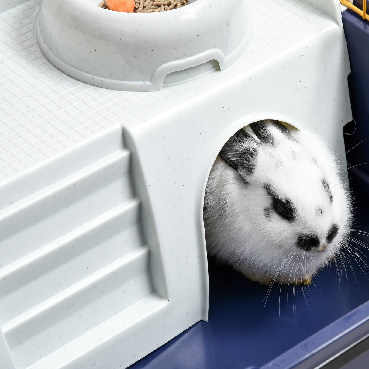 immagine-9-easycomfort-easycomfort-gabbia-per-conigli-e-porcellini-dindia-rialzata-con-ruote-e-accessori-ean-8055776911366